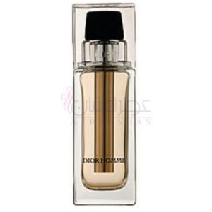 دیور هوم وویاژ Dior – Homme Voyage