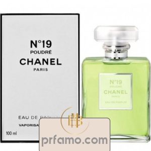 شنل ان 19 پودر (چنل نامبر 19 پودری) CHANEL – No 19 Poudre